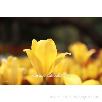 The Hot Selling Handmade Tulip Flower Oil Painting On Canvas